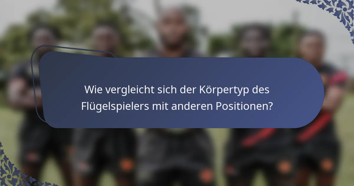 Wie vergleicht sich der Körpertyp des Flügelspielers mit anderen Positionen?